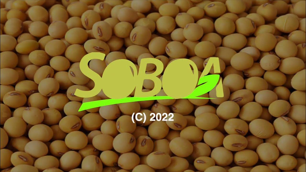 How to a soya bean contract farmer in Zimbabwe YouTube