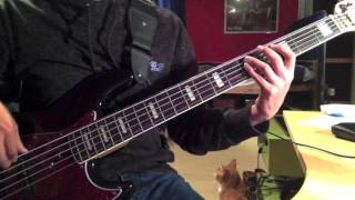 Video thumbnail of "Cuby + The Blizzards - Mama Won't You Buy Me A Dream (Bass Cover)"