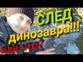 Нашёл след динозавра!Огромный след!