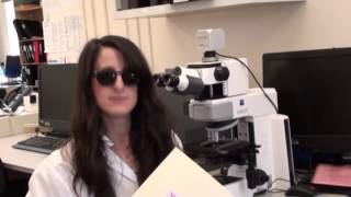 Top Secret Mission Genome Code