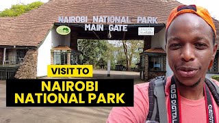 The Nairobi National Park & Nature Walk at Safari Walk -  [Things to do in Nairobi, Kenya] - [Ep. 1]