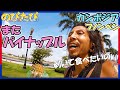 【プノンペン最終日】またパイナップル食べたなった☆今回は剥いて食べるよ♪カンボジアひとり旅Vlog#12【のびたび】アラフォー独身旅動画