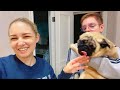 ВЛОГ ИДУ к МАМЕ в гости на беляши ! Играю с собакой Тедди ! VLOG At mother's house play with dog