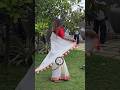 YouTube Influenza Amala Arrived For The Inauguration In Kilimanoor Love Viral Trending S 
