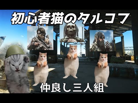 初心者タルコフ猫customsへ行く【猫ミーム】