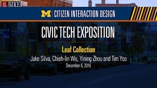 CID expo: Leaf collection (fall 2016)