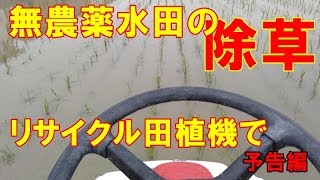 【予告編】田植機アタッチメント除草機あめんぼ号に乗って作業をしてきた！