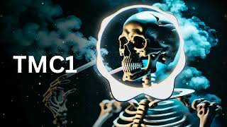 The Best Of Dubstep Mix | NCS | Trap Mafia C1