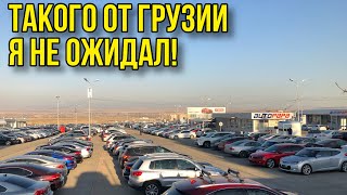 Почему цены на авто в Грузии падают. Что будет после Нового года? Обзор цен Autopapa.