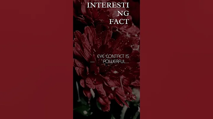 "The Power of Eye Contact: Creating Emotional Connections | Psychology Facts"