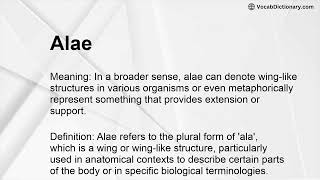 Alae Meaning