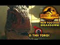 BRAND NEW FOOTAGE HIDDEN DETAILS BREAKDOWN - Jurassic World Dominion!