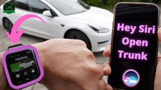 How to Control your Tesla with Apple Watch & Siri Voice Commands - Model 3/Y/S/X screenshot 4