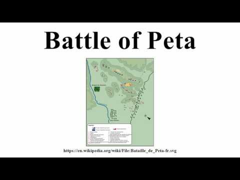Battle of Peta