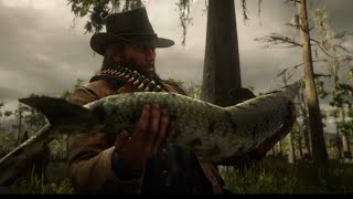 Catching the legendary gar 🎣