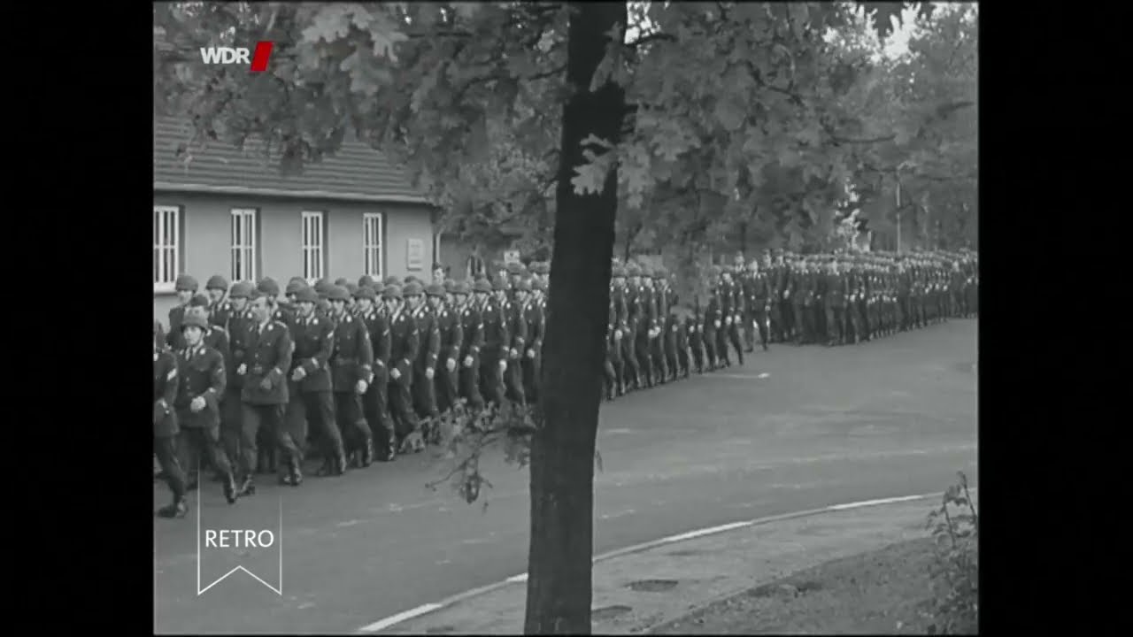 wildgänse rauschen durch die nacht