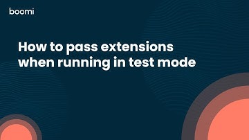 How to pass extensions when running in test mode