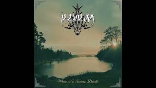 Illvilja - Night Of Broken Glass