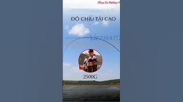 Cần câu Handing Điếu Vương sale 20% #shots #caucagiaitri #cancauhandingdieuvuong