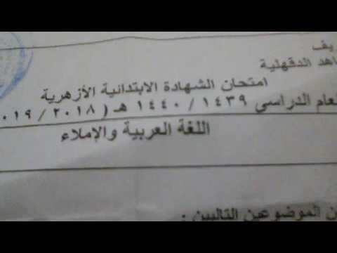 امتحان الشهادة الابتدائي مادة اللغة العربية 