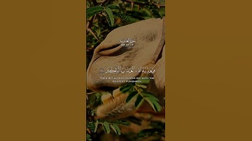 تلاوة خاشعة وجميلة/ماهر المعيقلي #quran #قرآن #قران_كريم #تلاوة_خاشعة #اللهم_صل_وسلم_على_نبينا_محمد