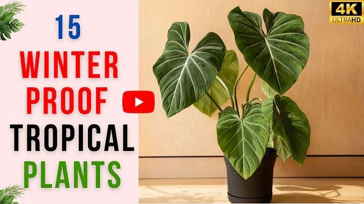 Top 15 Indoor Plants That Feel Tropical Even in Cold Countries | Winter Proof Tropical Plants