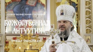 🔴Божественная Литургия.Прямая трансляция