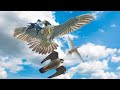 Сокол Сапсан яростно атакует голубей. The Falcon Peregrine attacks the pigeons violently