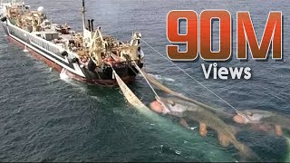 Hunting Video   Unbelievable Net Fishing | You Won't Believe That How Many Fishes