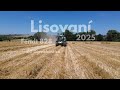 Lisovaní ječmene 2025💪💚ozimý ječmen I Fendt 828 profiplus