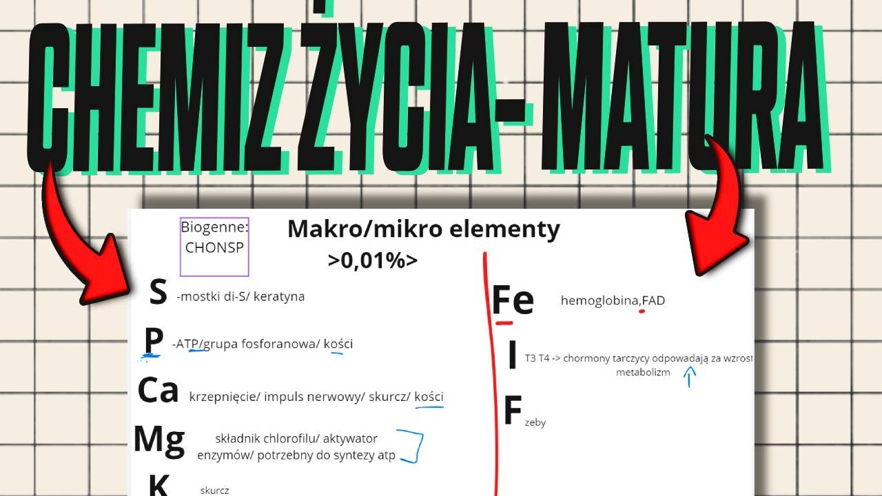 40 storn w 15 minut- CHEMIZM ZYCIA biologia matura- Jak się nauczyć?