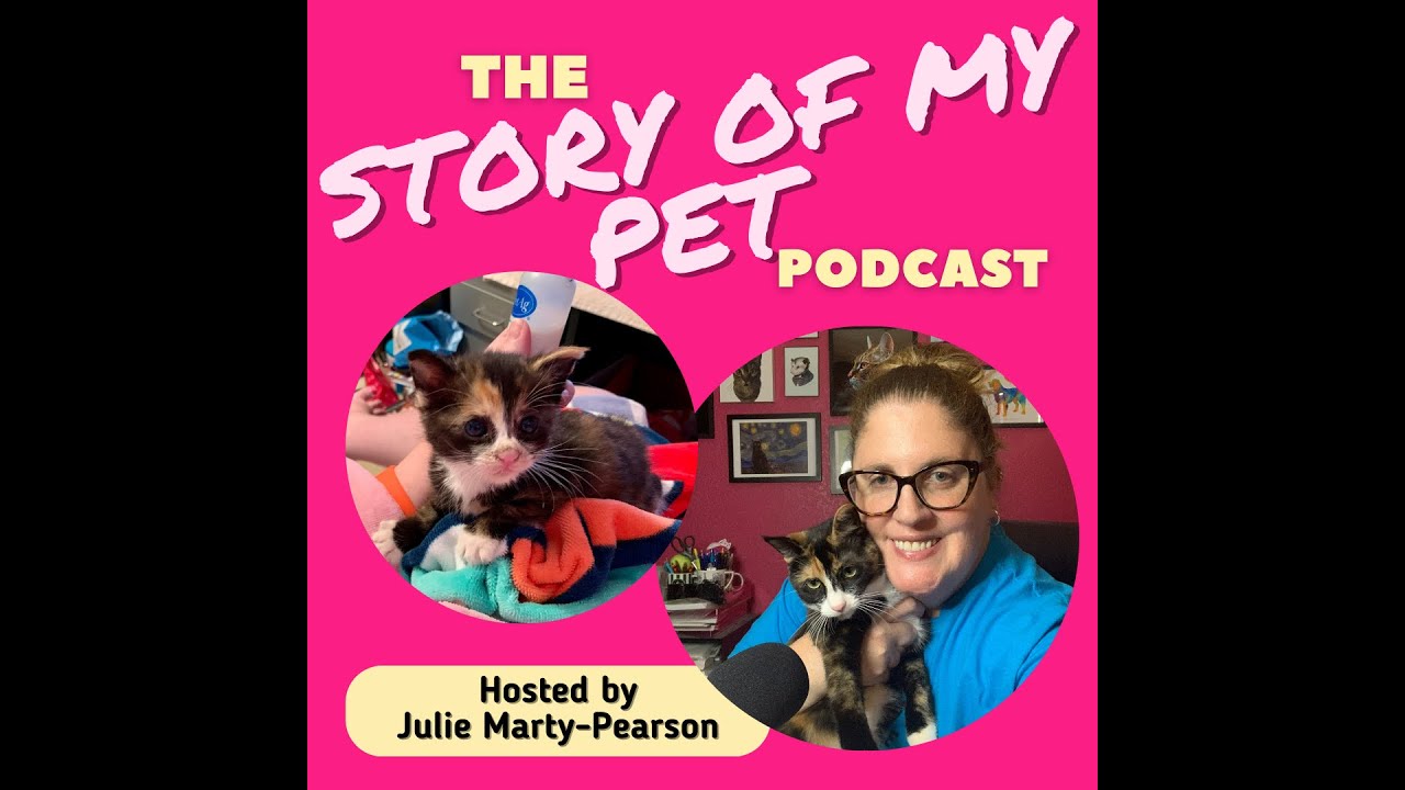 Fostering Kittens: A Story of Love, Heartbreak, and New Beginnings