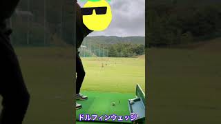 ドルフィンウェッジがやばい！【抜けが良い！球が上がる！】