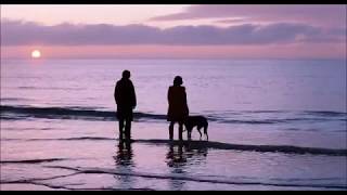 Submarine (2010) [end credits]