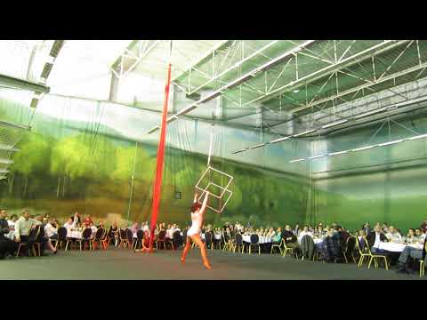 aerial cube performance for Vekra company