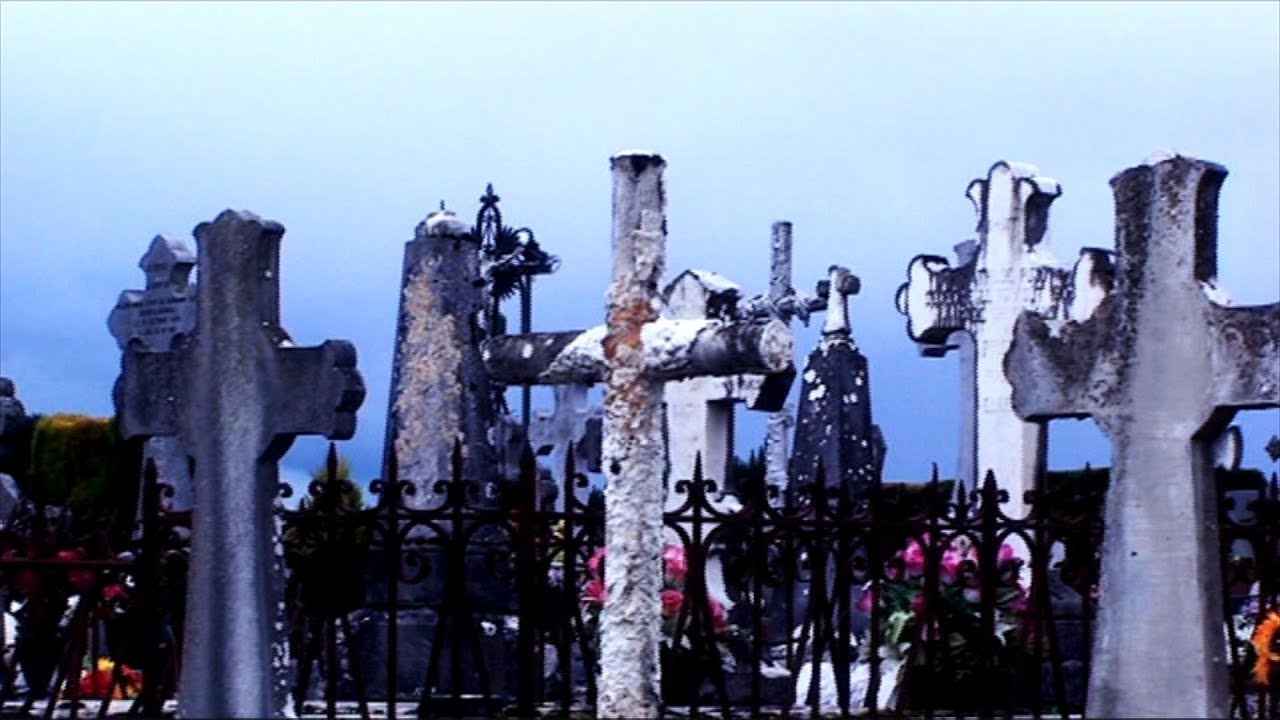 IN THE IMAGE AND LIKENESS TRAILER