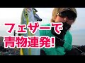 サーフで青物連発！これがフェザーの威力！／HartDesign TV(ハートデザインTV) 【Vol.234】
