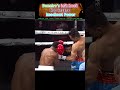 Nonito Donaire vs. Stephon Young | Boxing Knockout Highlights #boxing #sports #combatsports