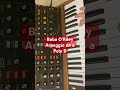 Baba O&rsquo;Riley Intro Arpeggio Demo #thewho #behringer #synth