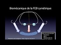 Biomécanique Orthodontique N°4 : FEB/FEO ou Headgear