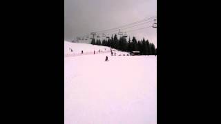 Beatle does le ski