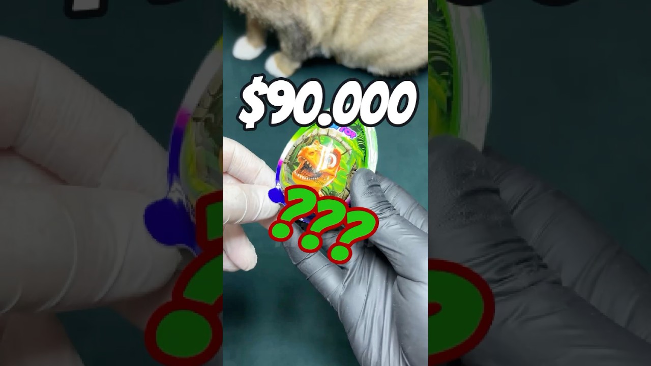 🦖 $90,000 DINOSAUR EGG Unboxing! ASMR + Cat Reaction! 🐱✨ 