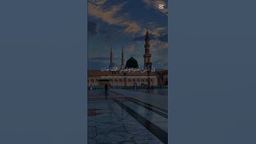 #قران_كريم #اكسبلور #المصحف #elmulquranعلم #تلاوة_خاشعة #راحة_نفسية