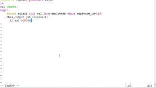 Raise Apllication Error