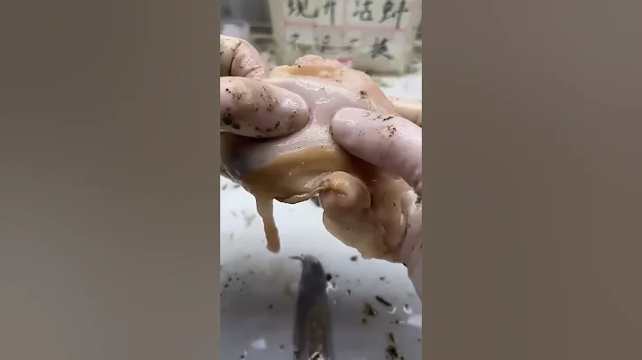 代表好運的 #珍珠蚌 #開蚌 - 天天要聞