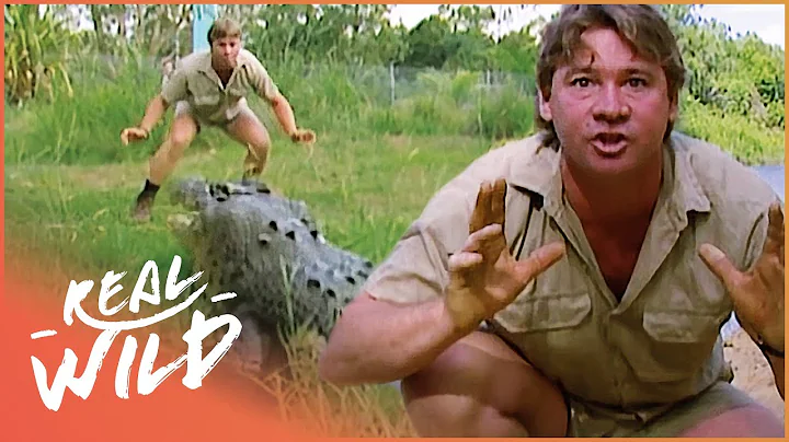 Steve Irwin Faces A Massive Saltwater Crocodile In...