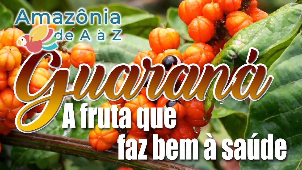 Os benefícios do guaraná para saúde | Amazônia de AaZ - YouTube