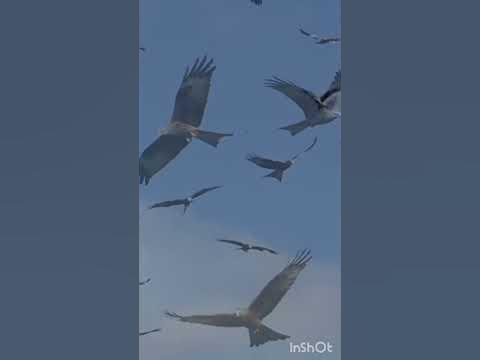 праздник 8 марта для каждого из нас