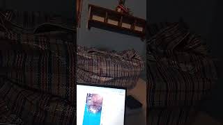 a la piscina o delfín Francisco Pacoco😀😀2026