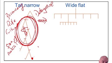ACCA F1 Level of management, Centralisation and decentralisation, Formal and informal Organisations